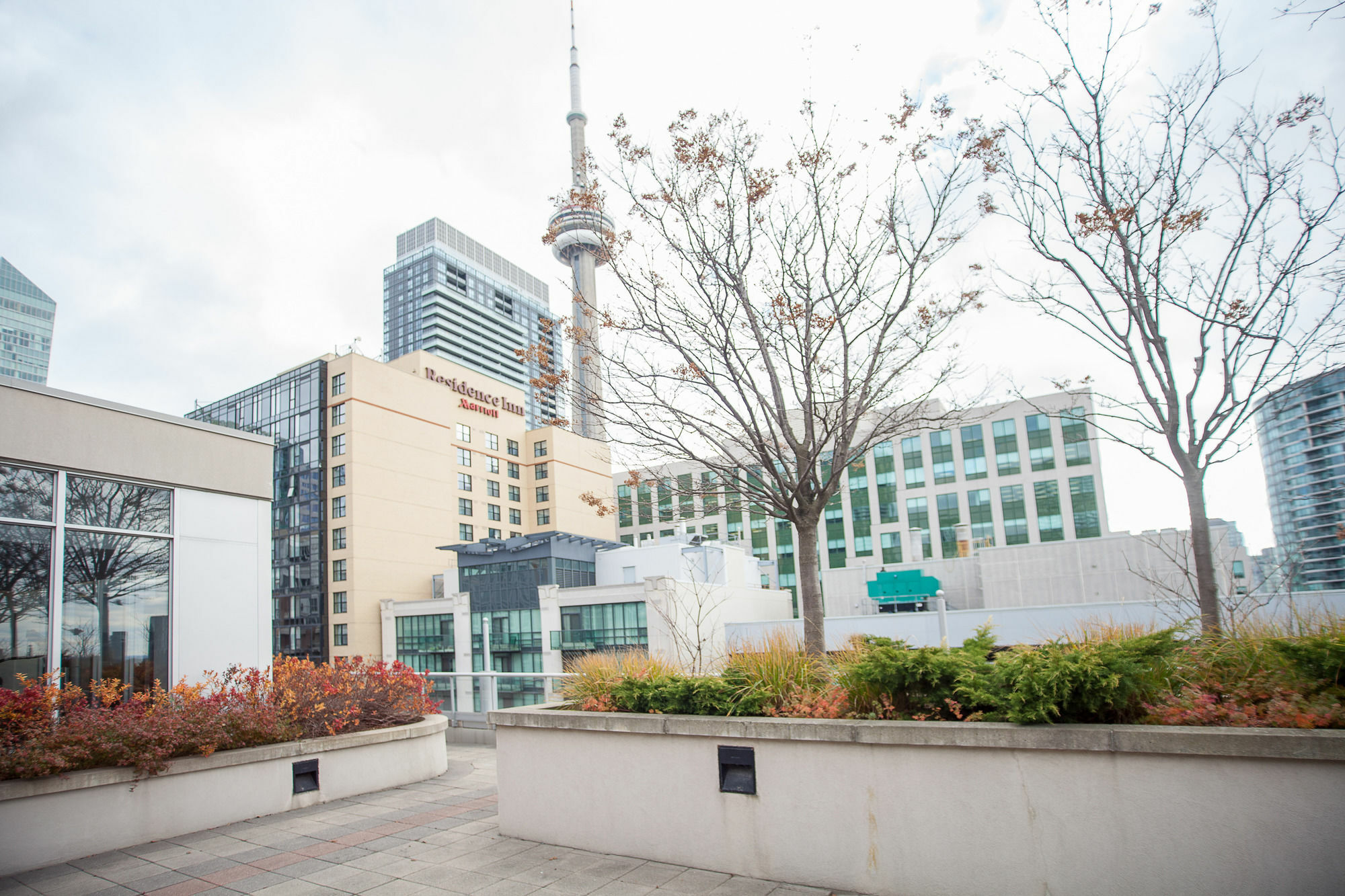Red Maple Suites - Icon Toronto Ngoại thất bức ảnh