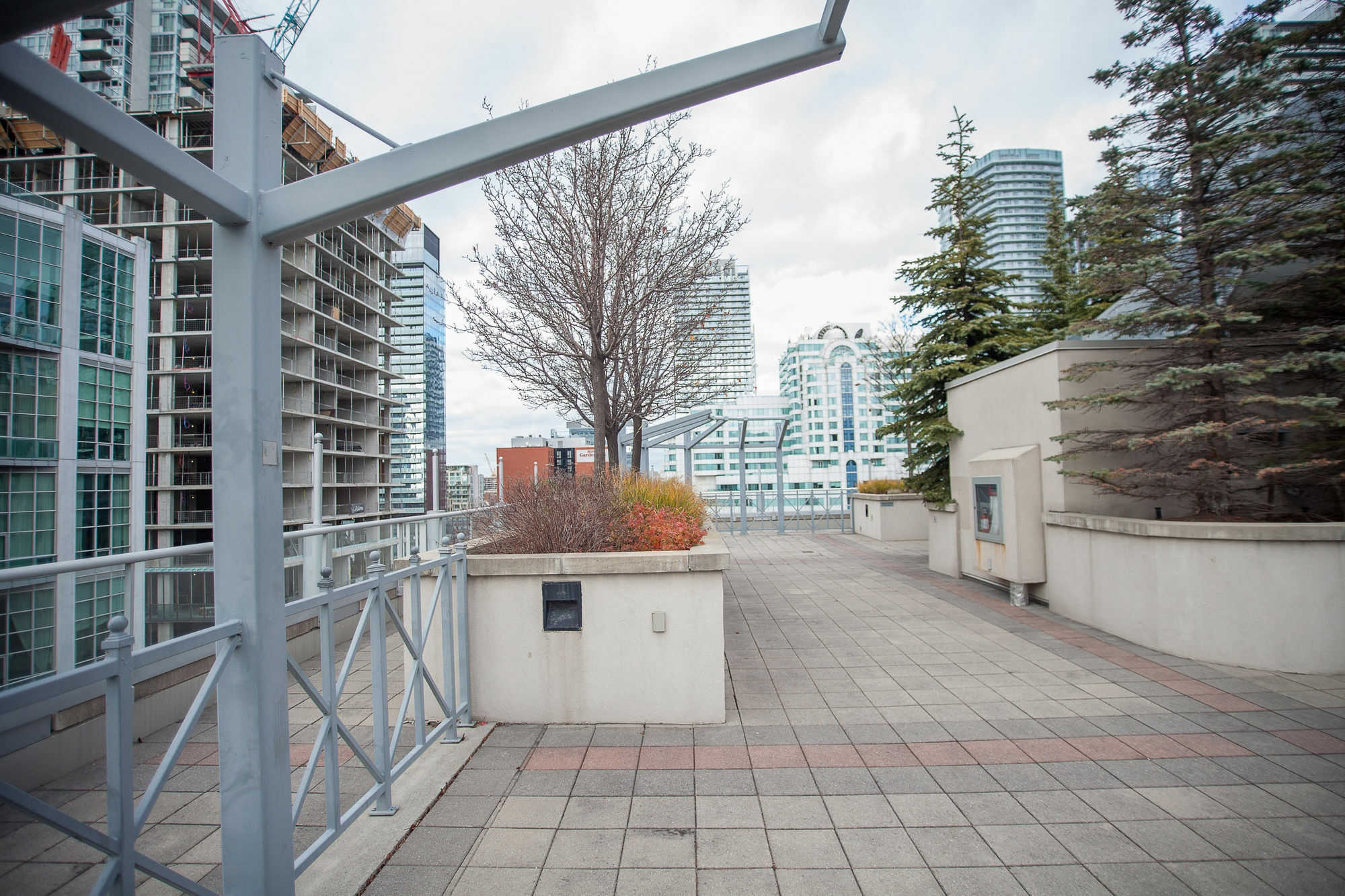 Red Maple Suites - Icon Toronto Ngoại thất bức ảnh